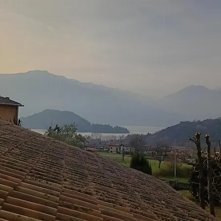 With View Проживание в семье