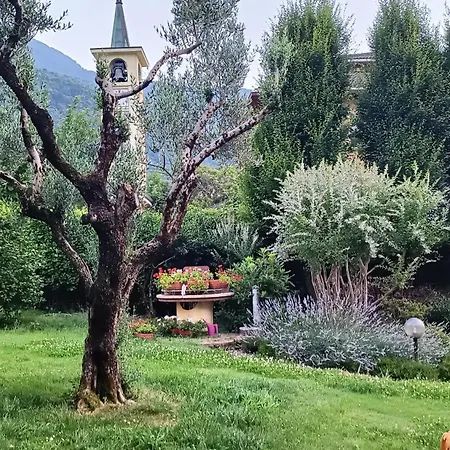 With View Колико