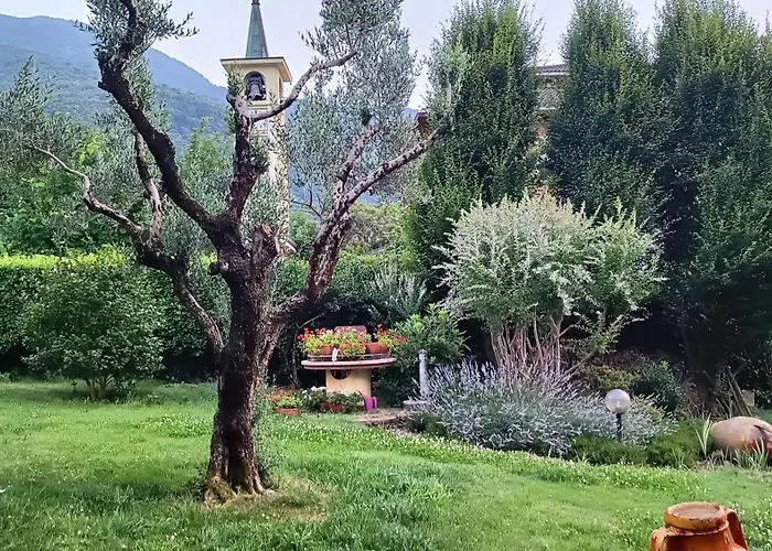 With View Колико